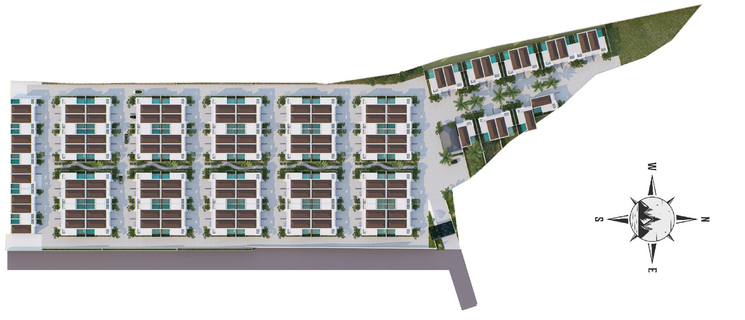 Cluster distribution